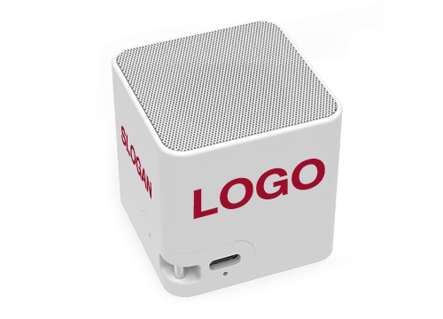 Custom Speaker Cube