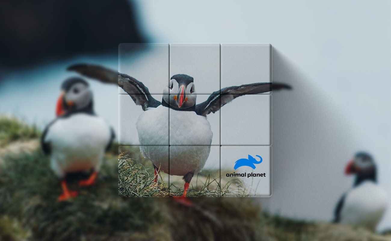 Blox - Personalized Promotional Magic Cubes gallery thumbnail